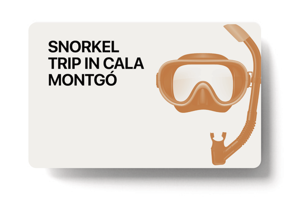 Boat & Snorkel trip en Cala Montgó 2