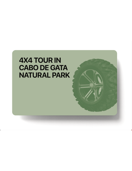 4x4 excursion in the Cabo de Gata Natural Park.