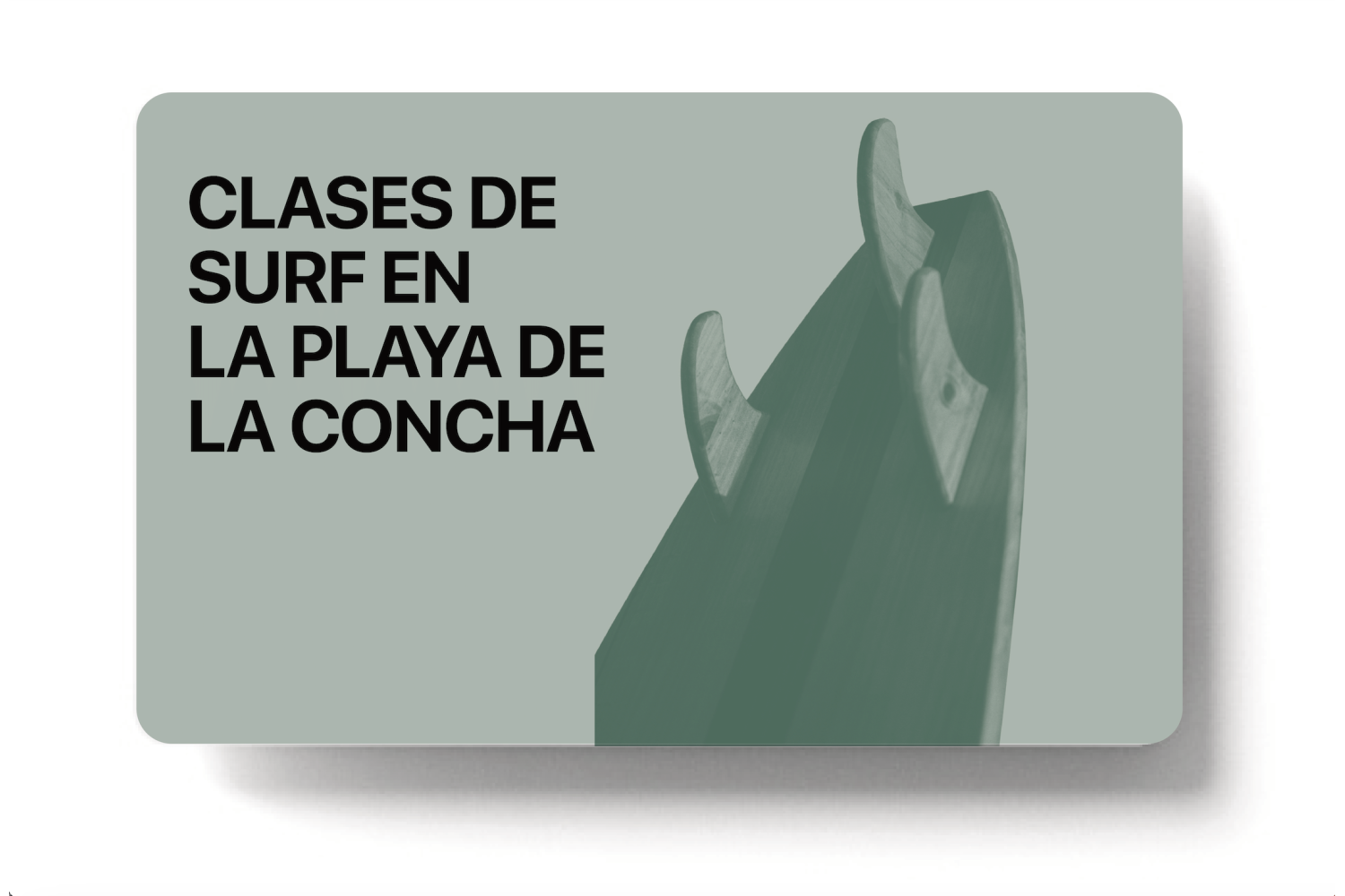 Clases de surf en San Sebastián